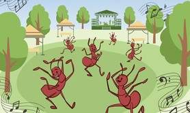 Les fourmis dansent - 4ème édition