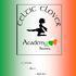 Celtic Clover Academy - Irish dancing / Danse et claquettes irlandaise - Image 2
