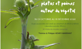 Vert toujours