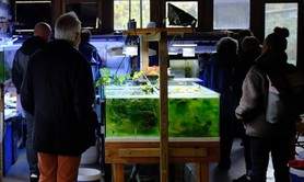 Visite des coulisses de l'Aquarium