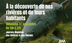 À la découverte de nos rivières et de leurs habitants