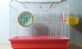 LE JOURNAL D’EDWARD, HAMSTER NIHILISTE (1990 1990)
