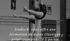 Studio B.  - Audition pour la formation préprofessionnelle 2023 2024