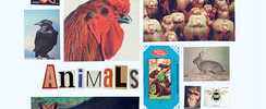 ANIMALS