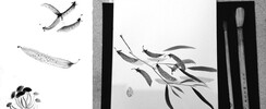 Japanese Sumi-e workshop in Antwerp