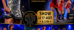 WE WANT TINA - Sosie Tina Turner et ses danseuses