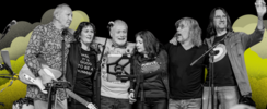  THE BEST OF ROCK & POP AU PROFIT DE VIVA FOR LIFE ! 