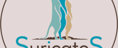 SuricateS - Atelier
