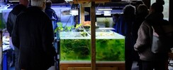Visite des coulisses de l'Aquarium