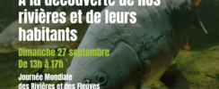 À la découverte de nos rivières et de leurs habitants