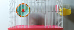 LE JOURNAL D’EDWARD, HAMSTER NIHILISTE (1990-1990)