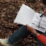 Journée d'atelier en forêt « créer avec la nature »