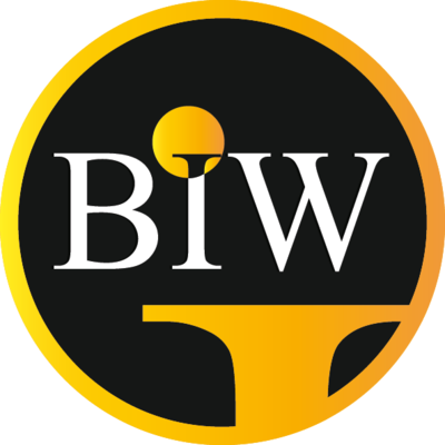 BIW Agency - Informaticien Chevalier - BIW Agency