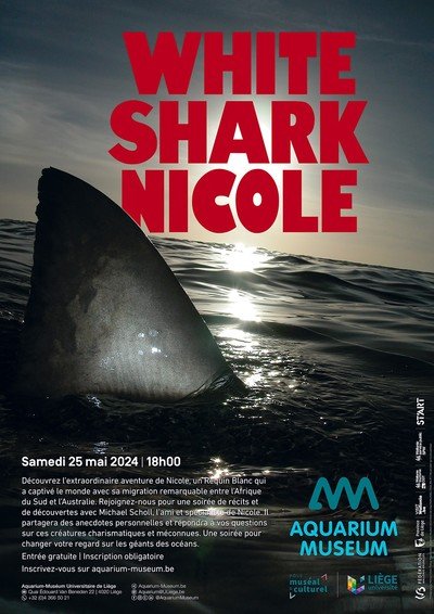 White Shark Nicole | Soirée Documentaire