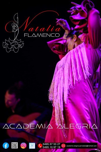 Académie Alegria | Cours de flamenco, guitare et cajon | Herstal