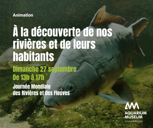 À la découverte de nos rivières et de leurs habitants