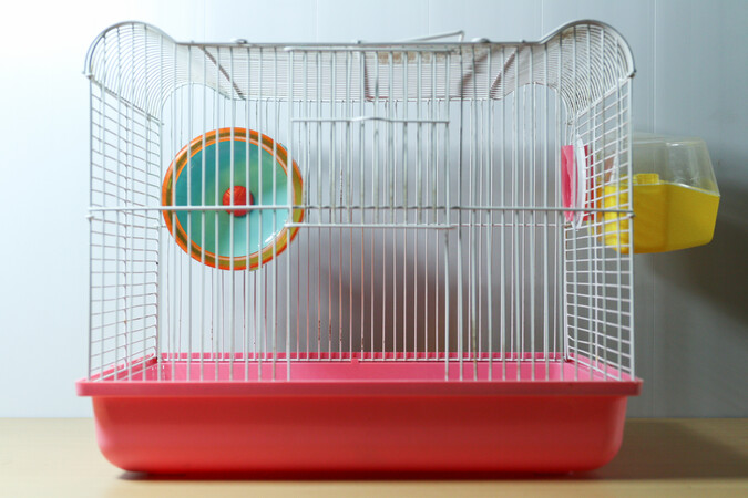 LE JOURNAL D’EDWARD, HAMSTER NIHILISTE (1990-1990)