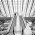 David ORBAN - Photographe mariage – photo 12