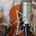 Green Field Studio - Studio d'enregistrement – photo 5