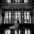 David ORBAN - Photographe mariage – photo 14