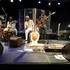 MAMADOU DRAME  - MEDRA JALY - joueur de kora, propose animation, soirées et concerts. – photo 4