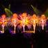 DIVA'S ENTERTAINMENT - REVUE / CABARET / MUSIC-HALL – photo 2