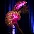 Miss Anne Thropy - Chanteuse, Effeuilleuse retro, Cabaret burlesque – photo 5