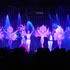 DIVA'S ENTERTAINMENT - REVUE / CABARET / MUSIC-HALL – photo 4