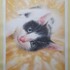 Olivier Surin Aquarelliste - Explorez la Magie de l'Aquarelle : Ateliers Tous Niveaux - Image 2
