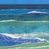 Jeudi des Familles : Vagues de papier