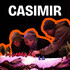 Casimir