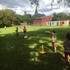 Stage Gymnastique sportive + multisports pour enfants - Image 11