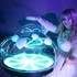 Shayla Events  - Organisation d'Evénements & Spectacles – photo 11