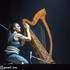 Lorena Menade  - aerial acrobat et celtic harp player – photo 13
