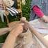 Atelier Les Artlevents | Ateliers d'expression créative et arts plastiques | Court-Saint-Etienne – photo 2