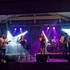 Summer Sons plays Texas  - Recherche dates de concerts! – photo 2