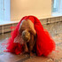 IZABELA CHAMCZYK ‘LA PEAU’ – photo 3