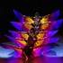 MosaïK | Cours de danses orientales | Audregnies – photo 12