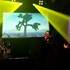 4U - The U2 Tribute Band - Cover de U2 – photo 5