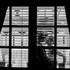 David ORBAN - Photographe mariage – photo 2