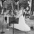MT Events Music - Animations Musicales & Evenementiel (Mariage, fêtes, ...) – photo 4