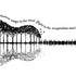 Steven Gauthier | Cours de guitare classique | Bruxelles – photo 3