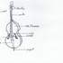 Charlotte Barbier | Cours de violoncelle et contrebasse | Ixelles – photo 2