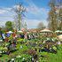 Foire de jardin du parc du château d’Enghien 2020 - Image 3