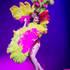 Miss Anne Thropy - Chanteuse, Effeuilleuse retro, Cabaret burlesque - Image 3