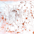 Tatiana Bohm, L'or des fous