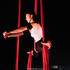 Lorena Menade  - aerial acrobat et celtic harp player – photo 2