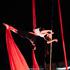 Lorena Menade  - aerial acrobat et celtic harp player  - Image 3