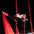 Lorena Menade  - aerial acrobat et celtic harp player – photo 3