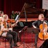 Instruments à cordes : Gala du concours Triomphe de l'Art – photo 2